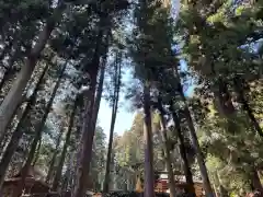 大宮温泉神社の周辺