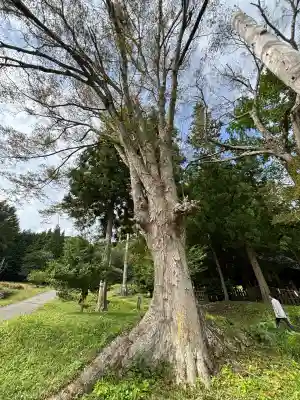諏訪大社上社前宮(長野県)