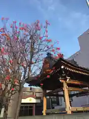 覚王寺の自然