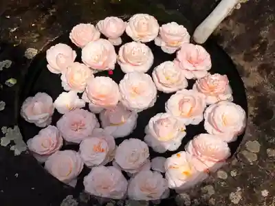 真言宗　善通寺派　薬王寺(香川県)