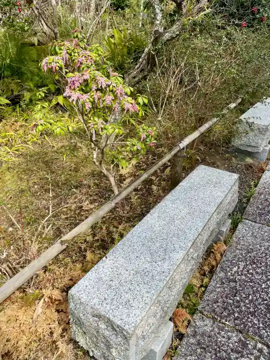 妙法寺の{uncategorized: "未分類", other: "その他", undefined: "問題あり", building: "その他建物", grave: "お墓", sacred_gate: "鳥居", guardian: "狛犬", statue: "像", buddha: "仏像", history: "歴史", nature: "自然", garden: "庭園", animal: "動物", pagoda: "塔", temizu: "手水舎", mountain_gate: "山門・神門", sanctuary: "本殿・本堂", subordinate: "末社・摂社", art: "芸術", scenery: "景色", jizo: "地蔵", ema: "絵馬", goshuin: "御朱印", omikuji: "おみくじ", items: "授与品その他", amulet: "お守り", goshuincho: "御朱印帳", eats: "食事", festival: "お祭り", votive_dance: "神楽", shichigosan: "七五三参", wedding: "結婚式", experience: "体験その他", initially: "初詣", around: "周辺", anti_infection: "感染症対策"}