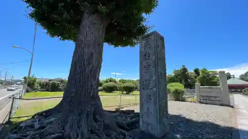 瀧泉寺のその他建物