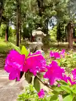 蚊里田八幡宮の{uncategorized: "未分類", other: "その他", undefined: "問題あり", building: "その他建物", grave: "お墓", sacred_gate: "鳥居", guardian: "狛犬", statue: "像", buddha: "仏像", history: "歴史", nature: "自然", garden: "庭園", animal: "動物", pagoda: "塔", temizu: "手水舎", mountain_gate: "山門・神門", sanctuary: "本殿・本堂", subordinate: "末社・摂社", art: "芸術", scenery: "景色", jizo: "地蔵", ema: "絵馬", goshuin: "御朱印", omikuji: "おみくじ", items: "授与品その他", amulet: "お守り", goshuincho: "御朱印帳", eats: "食事", festival: "お祭り", votive_dance: "神楽", shichigosan: "七五三参", wedding: "結婚式", experience: "体験その他", initially: "初詣", around: "周辺", anti_infection: "感染症対策"}