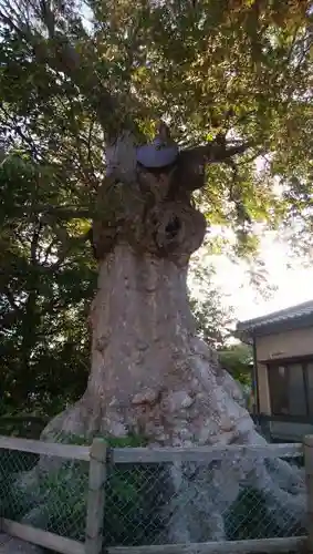 竃神社の庭園