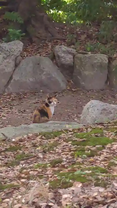 清洲山王宮 日吉神社の動物