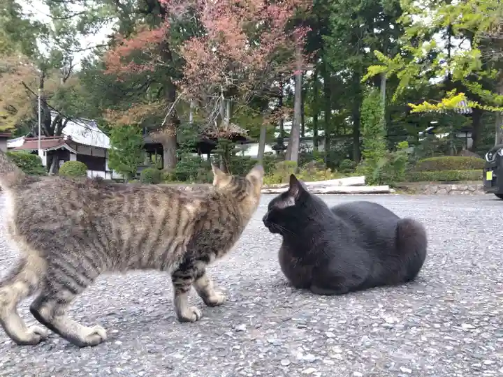 清泰寺(岐阜県)