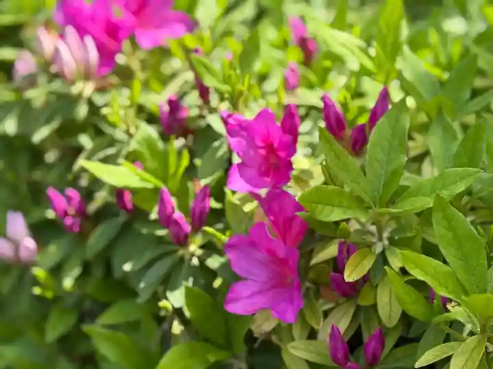 西方山極楽寺(岐阜県)