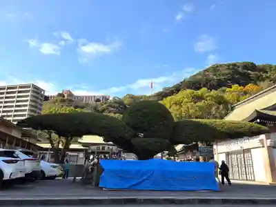 照國神社(鹿児島県)