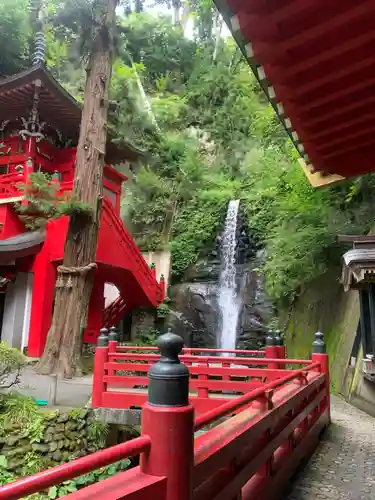 大正寺(中野不動尊)の景色