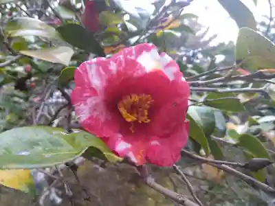 霊鑑寺門跡(京都府)