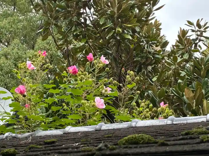 宝筐院(京都府)