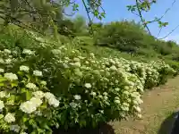倶利迦羅不動寺鳳凰殿(石川県)