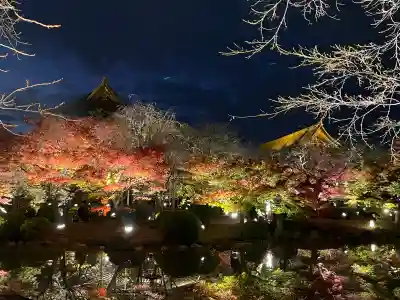 東寺（教王護国寺）(京都府)