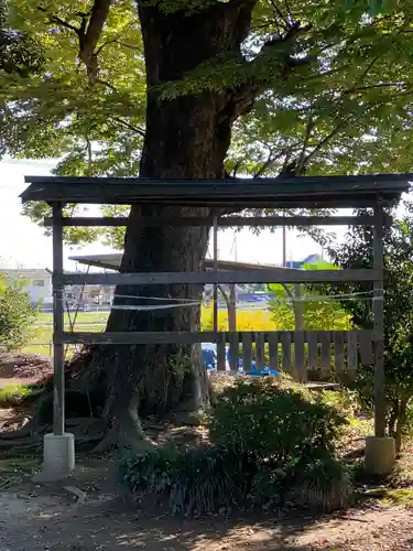 梅宮神社のその他建物