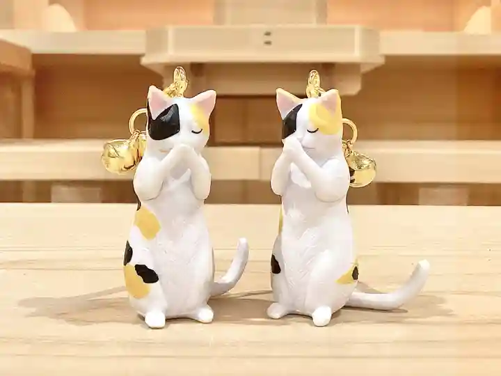 諫早神社(九州総守護 四面宮)の御朱印