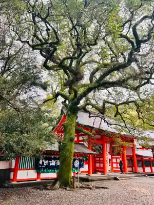 熊野速玉大社の{uncategorized: "未分類", other: "その他", undefined: "問題あり", building: "その他建物", grave: "お墓", sacred_gate: "鳥居", guardian: "狛犬", statue: "像", buddha: "仏像", history: "歴史", nature: "自然", garden: "庭園", animal: "動物", pagoda: "塔", temizu: "手水舎", mountain_gate: "山門・神門", sanctuary: "本殿・本堂", subordinate: "末社・摂社", art: "芸術", scenery: "景色", jizo: "地蔵", ema: "絵馬", goshuin: "御朱印", omikuji: "おみくじ", items: "授与品その他", amulet: "お守り", goshuincho: "御朱印帳", eats: "食事", festival: "お祭り", votive_dance: "神楽", shichigosan: "七五三参", wedding: "結婚式", experience: "体験その他", initially: "初詣", around: "周辺", anti_infection: "感染症対策"}