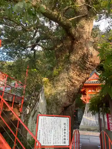 金剛宝寺（紀三井寺）(和歌山県)