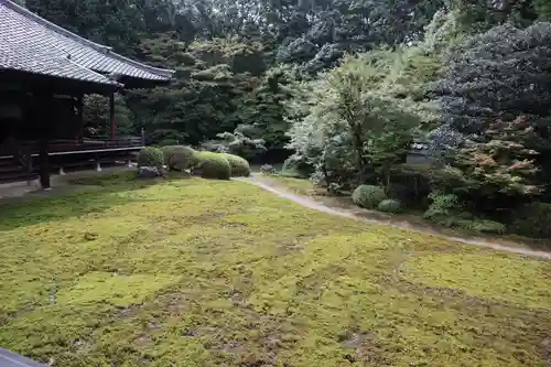 隨心院（随心院）(京都府)
