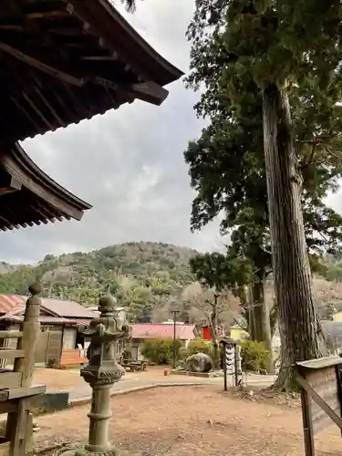 日枝神社のその他建物