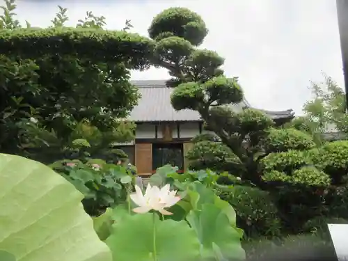 香勝寺(静岡県)