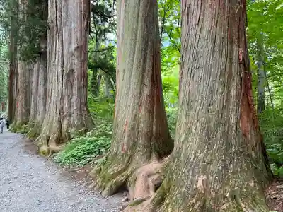 戸隠神社奥社(長野県)