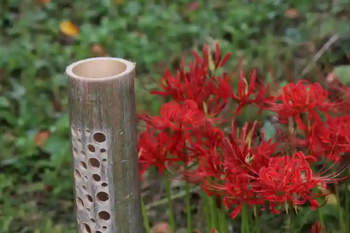 国宝 大法寺の庭園
