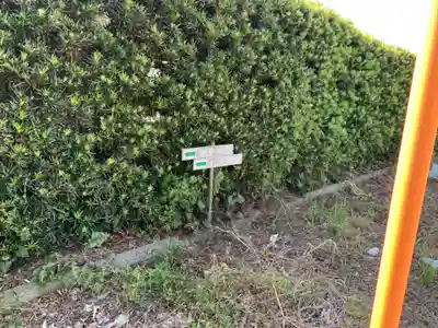 仙元神社(千葉県)