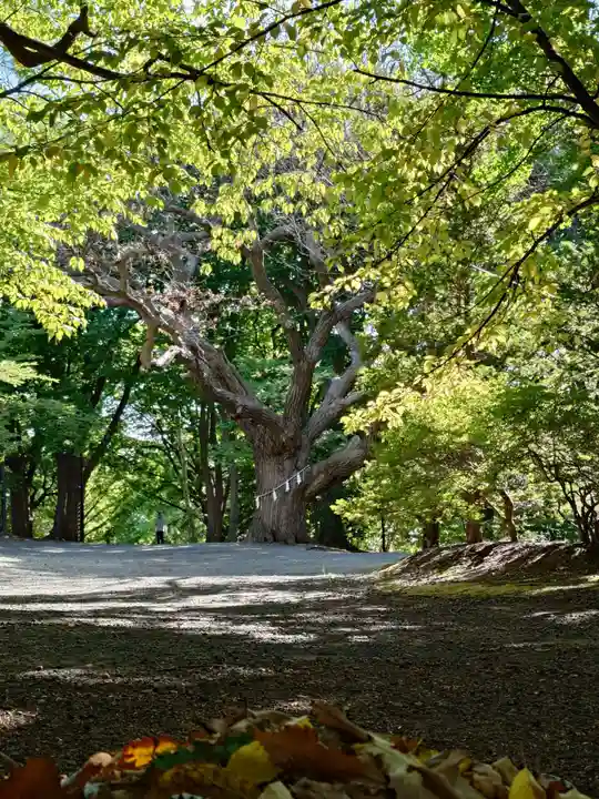 相馬神社(北海道)