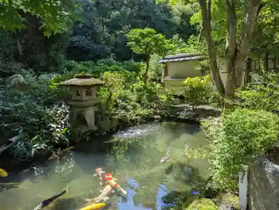 一條殿 新善光寺(京都府)