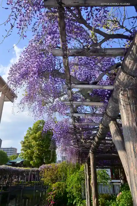 亀戸天神社の庭園