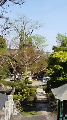 圓乗院のその他建物