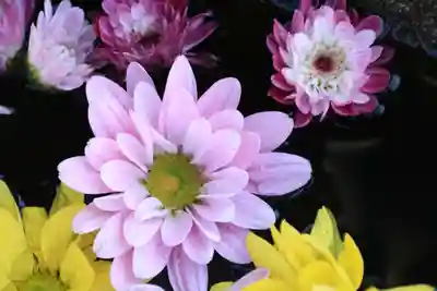 大鏑神社の手水舎