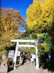 鳩森八幡神社(東京都)