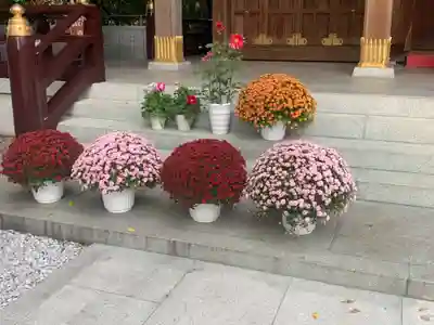 鈴鹿明神社(神奈川県)