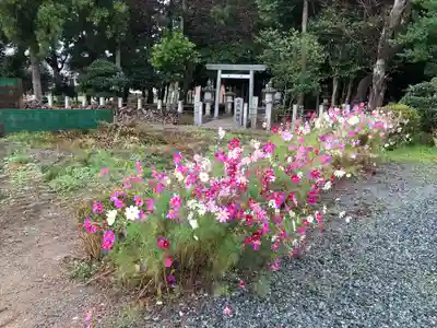 仲神社(三重県)