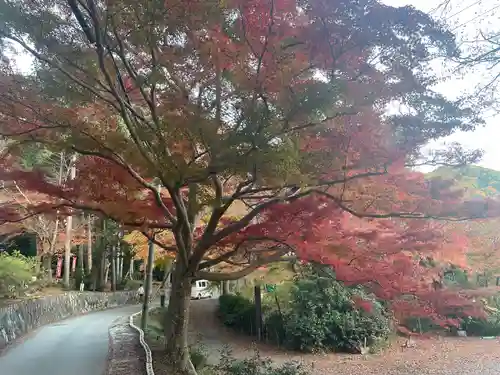 毘沙門堂門跡(京都府)