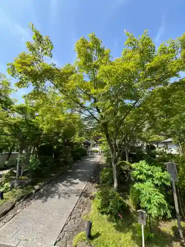宝徳寺(群馬県)