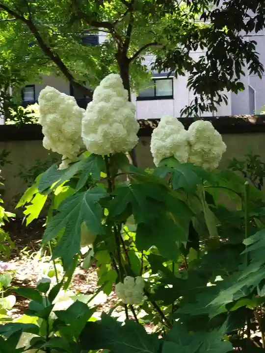 筥崎宮(福岡県)