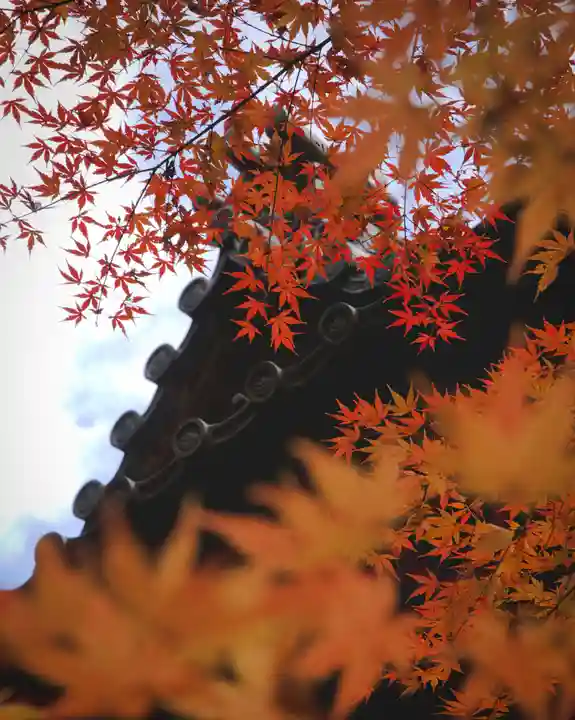 四合稲荷神社(東京都)