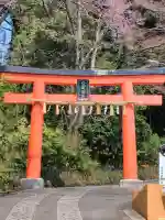愛宕神社の{uncategorized: "未分類", other: "その他", undefined: "問題あり", building: "その他建物", grave: "お墓", sacred_gate: "鳥居", guardian: "狛犬", statue: "像", buddha: "仏像", history: "歴史", nature: "自然", garden: "庭園", animal: "動物", pagoda: "塔", temizu: "手水舎", mountain_gate: "山門・神門", sanctuary: "本殿・本堂", subordinate: "末社・摂社", art: "芸術", scenery: "景色", jizo: "地蔵", ema: "絵馬", goshuin: "御朱印", omikuji: "おみくじ", items: "授与品その他", amulet: "お守り", goshuincho: "御朱印帳", eats: "食事", festival: "お祭り", votive_dance: "神楽", shichigosan: "七五三参", wedding: "結婚式", experience: "体験その他", initially: "初詣", around: "周辺", anti_infection: "感染症対策"}