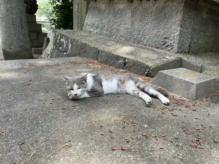 琴彈八幡宮(香川県)
