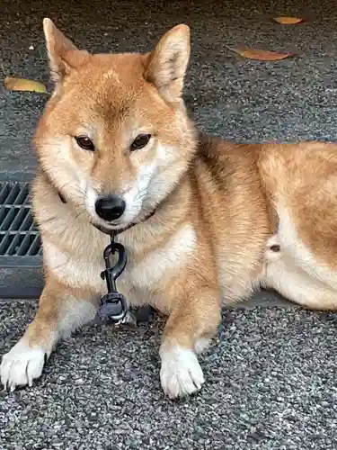 感通寺(東京都)