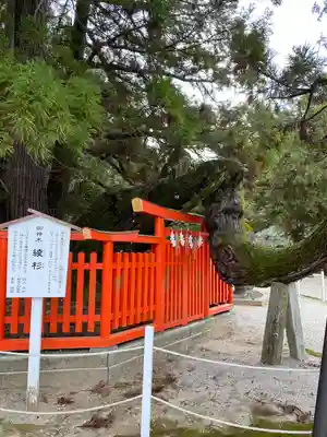 香椎宮(福岡県)