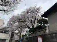 元町厳島神社の{uncategorized: "未分類", other: "その他", undefined: "問題あり", building: "その他建物", grave: "お墓", sacred_gate: "鳥居", guardian: "狛犬", statue: "像", buddha: "仏像", history: "歴史", nature: "自然", garden: "庭園", animal: "動物", pagoda: "塔", temizu: "手水舎", mountain_gate: "山門・神門", sanctuary: "本殿・本堂", subordinate: "末社・摂社", art: "芸術", scenery: "景色", jizo: "地蔵", ema: "絵馬", goshuin: "御朱印", omikuji: "おみくじ", items: "授与品その他", amulet: "お守り", goshuincho: "御朱印帳", eats: "食事", festival: "お祭り", votive_dance: "神楽", shichigosan: "七五三参", wedding: "結婚式", experience: "体験その他", initially: "初詣", around: "周辺", anti_infection: "感染症対策"}