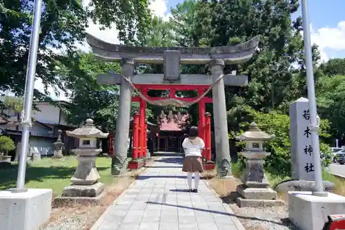 若木神社の鳥居