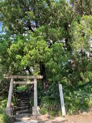 森戸大明神(森戸神社)の鳥居
