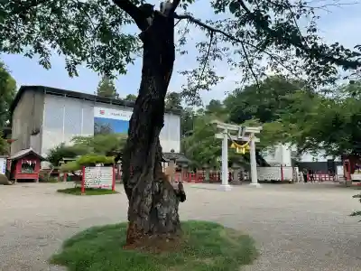 世良田東照宮(群馬県)