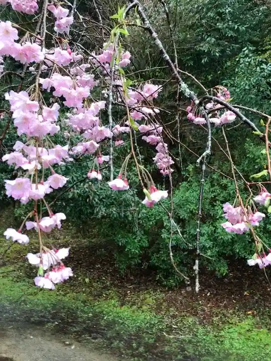 指月殿(静岡県)