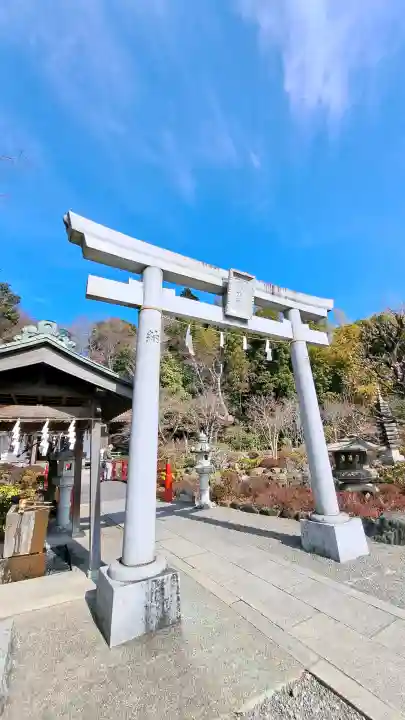 貫井神社の{uncategorized: "未分類", other: "その他", undefined: "問題あり", building: "その他建物", grave: "お墓", sacred_gate: "鳥居", guardian: "狛犬", statue: "像", buddha: "仏像", history: "歴史", nature: "自然", garden: "庭園", animal: "動物", pagoda: "塔", temizu: "手水舎", mountain_gate: "山門・神門", sanctuary: "本殿・本堂", subordinate: "末社・摂社", art: "芸術", scenery: "景色", jizo: "地蔵", ema: "絵馬", goshuin: "御朱印", omikuji: "おみくじ", items: "授与品その他", amulet: "お守り", goshuincho: "御朱印帳", eats: "食事", festival: "お祭り", votive_dance: "神楽", shichigosan: "七五三参", wedding: "結婚式", experience: "体験その他", initially: "初詣", around: "周辺", anti_infection: "感染症対策"}