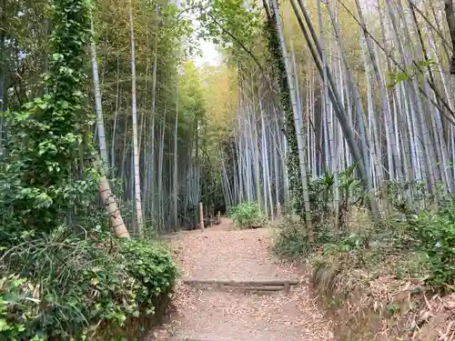 湊三嶋大明神社の自然